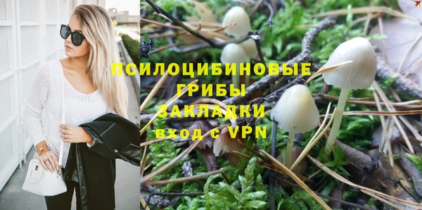 МДПВ Михайловск