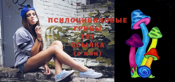 гидропоника Михайлов